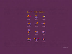 Latin Prefixes in English